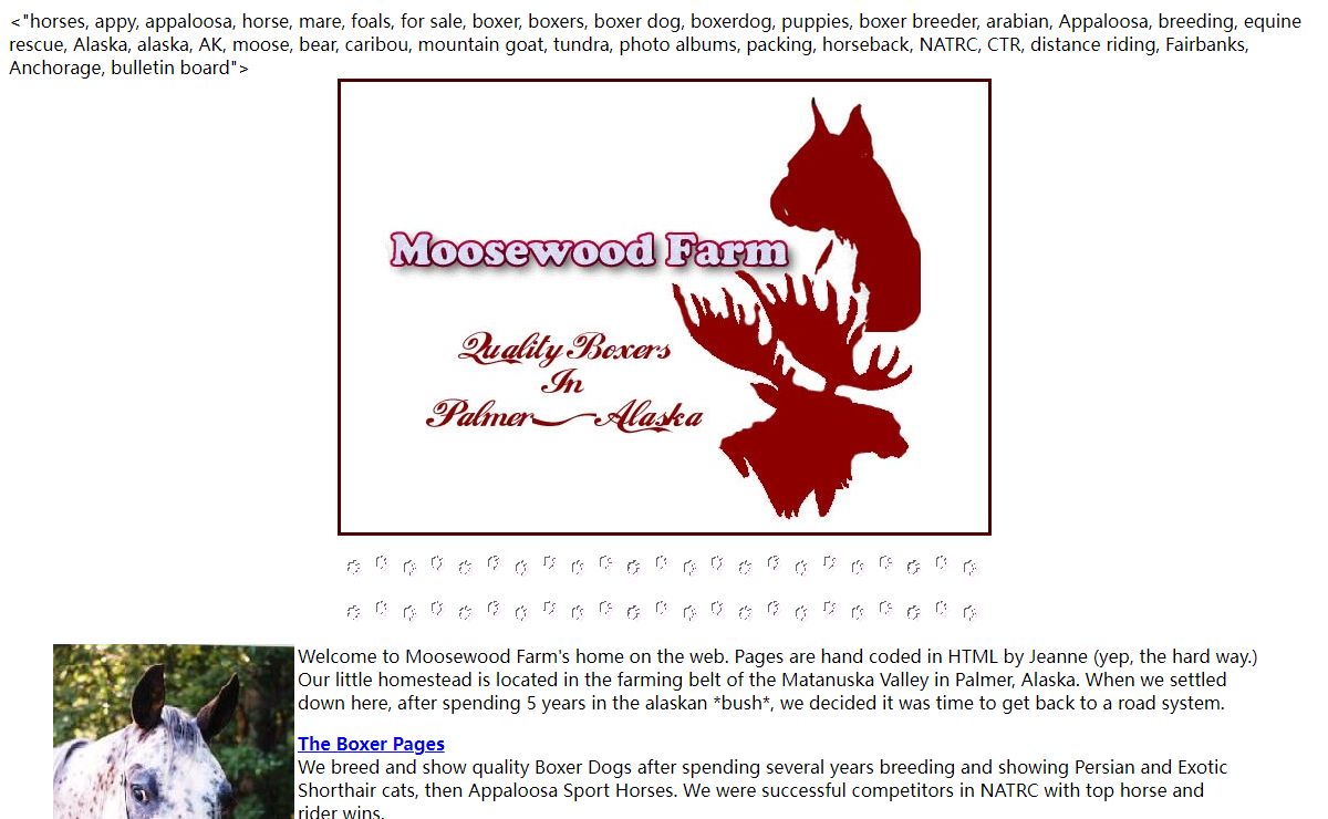 Moosewood Farm Appaloosa Sport Horses, Alaska and equine rescue