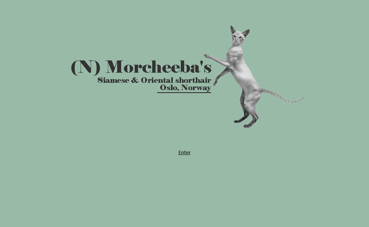 (N) Morcheeba's Siamese & Orientals