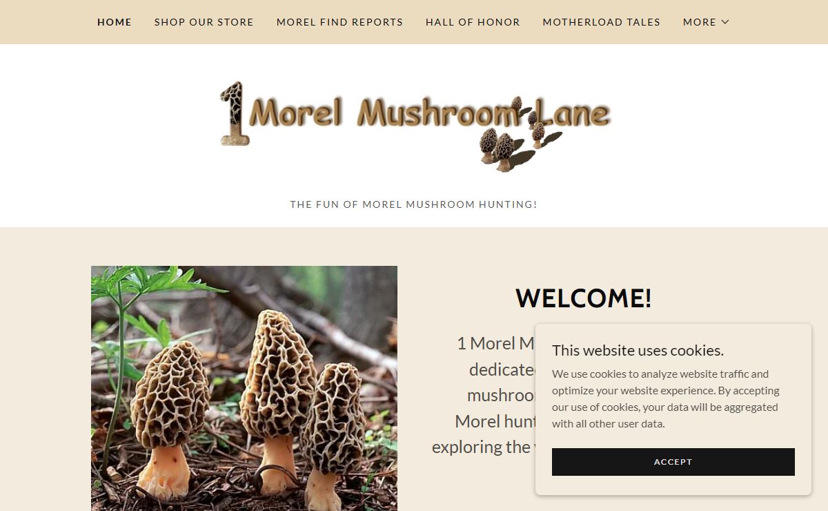1 Morel Mushroom Lane - Mushroom Hunting, Morels