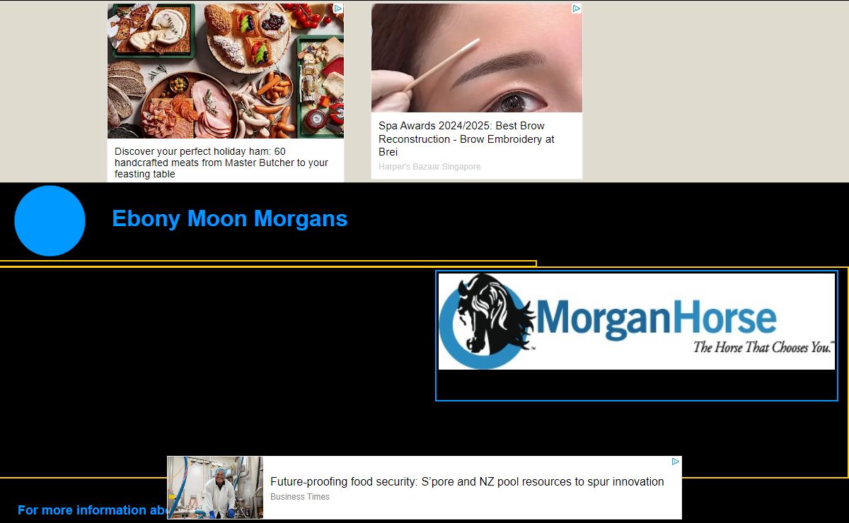 Ebony Moon Morgans
