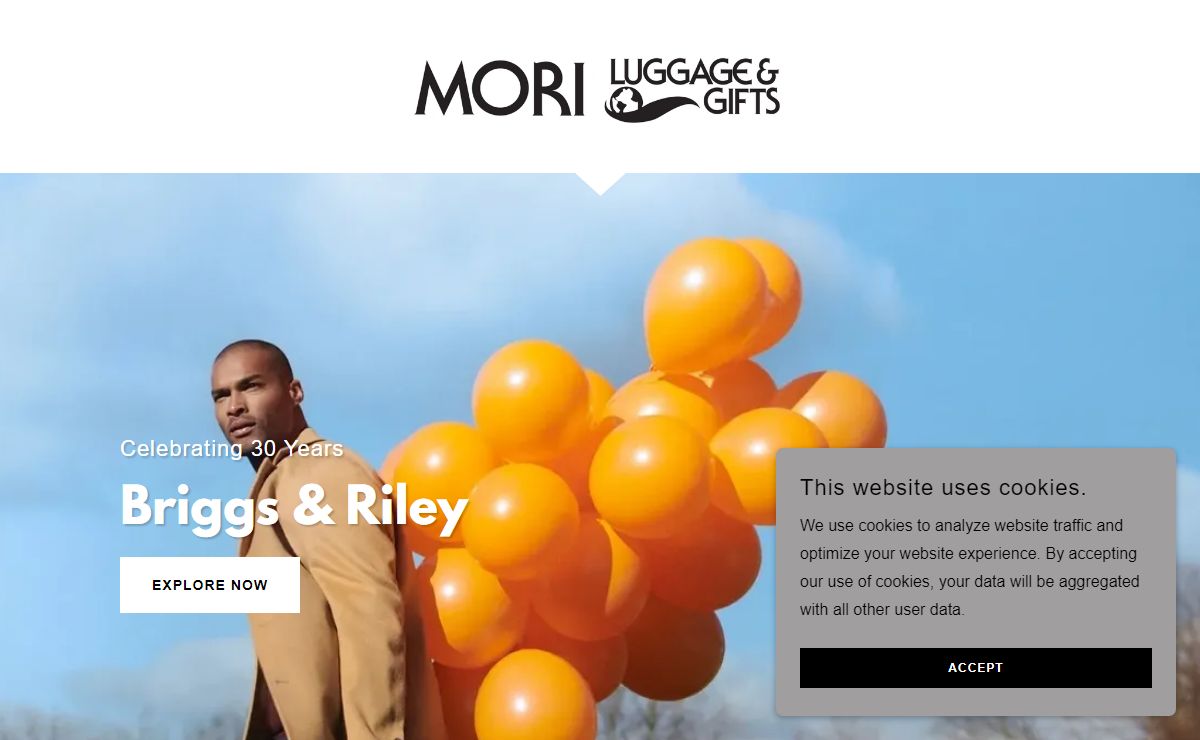 moriluggage.com