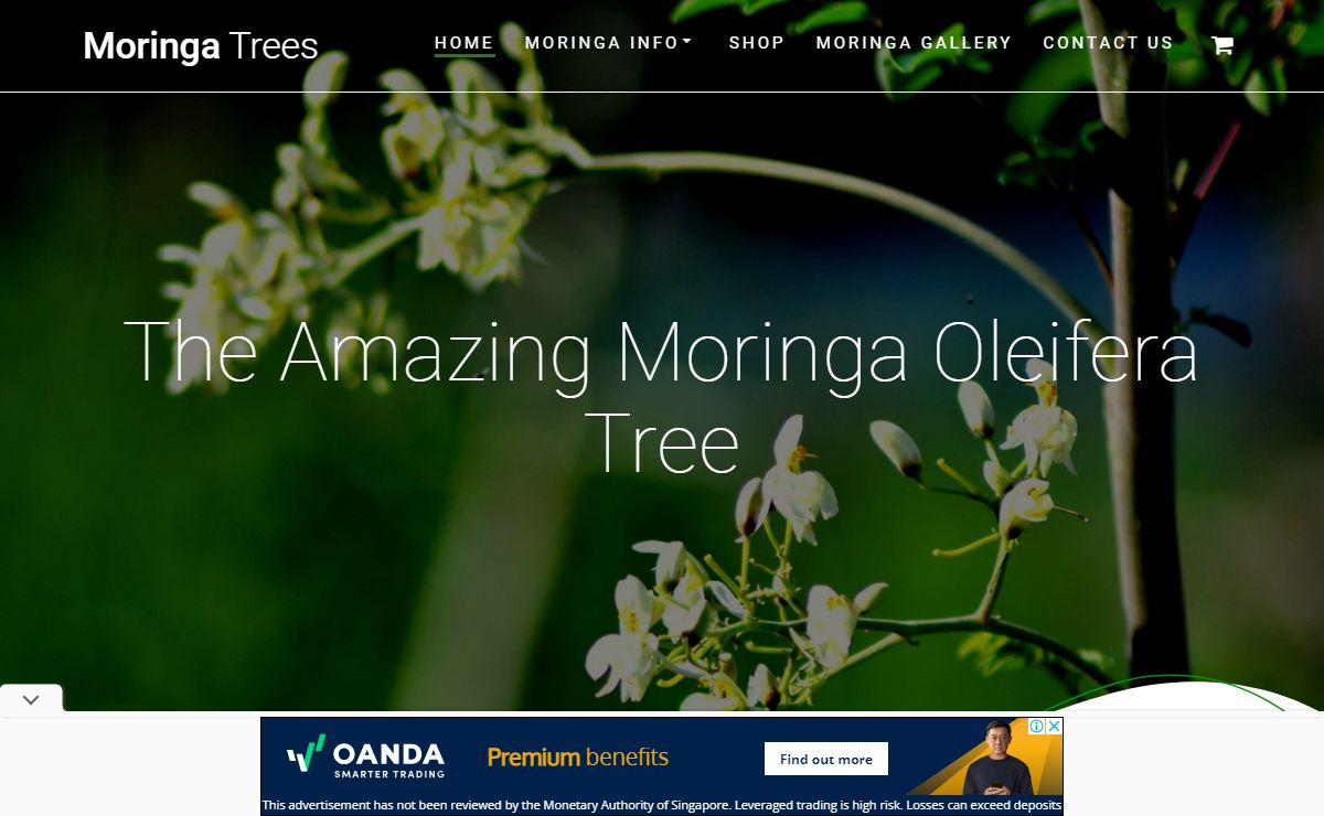 Moringa Trees - buy Moringa Products | Capsules, Powder, Tea, Seeds, Oil