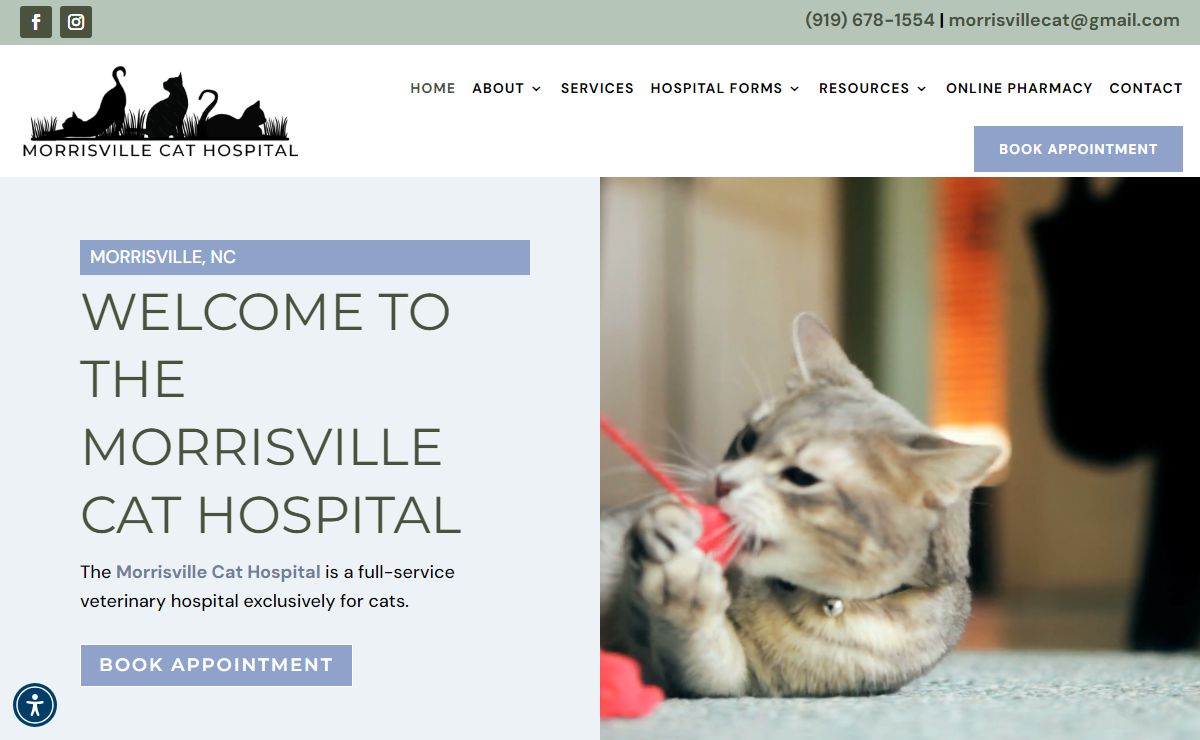 Best Cat Hospital in Morrisville, NC 27520 | Morrisville Cat Hospital