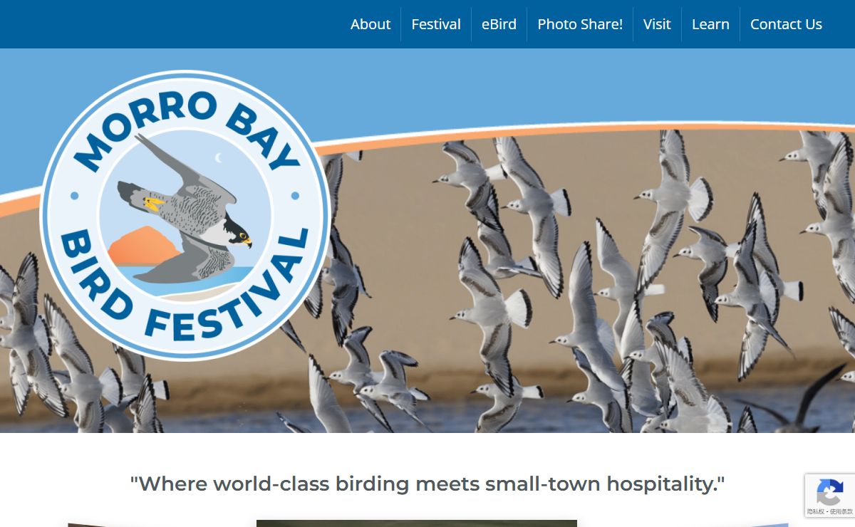 Morro Bay Bird Festival – Where world-class birding meets small-town hospitality