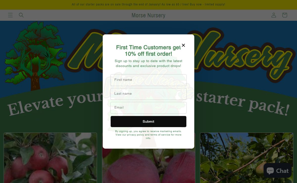 Wildlife Food Plot Trees, Bushes, and Shrubs By Morse Tree Nursery – Morse Nursery