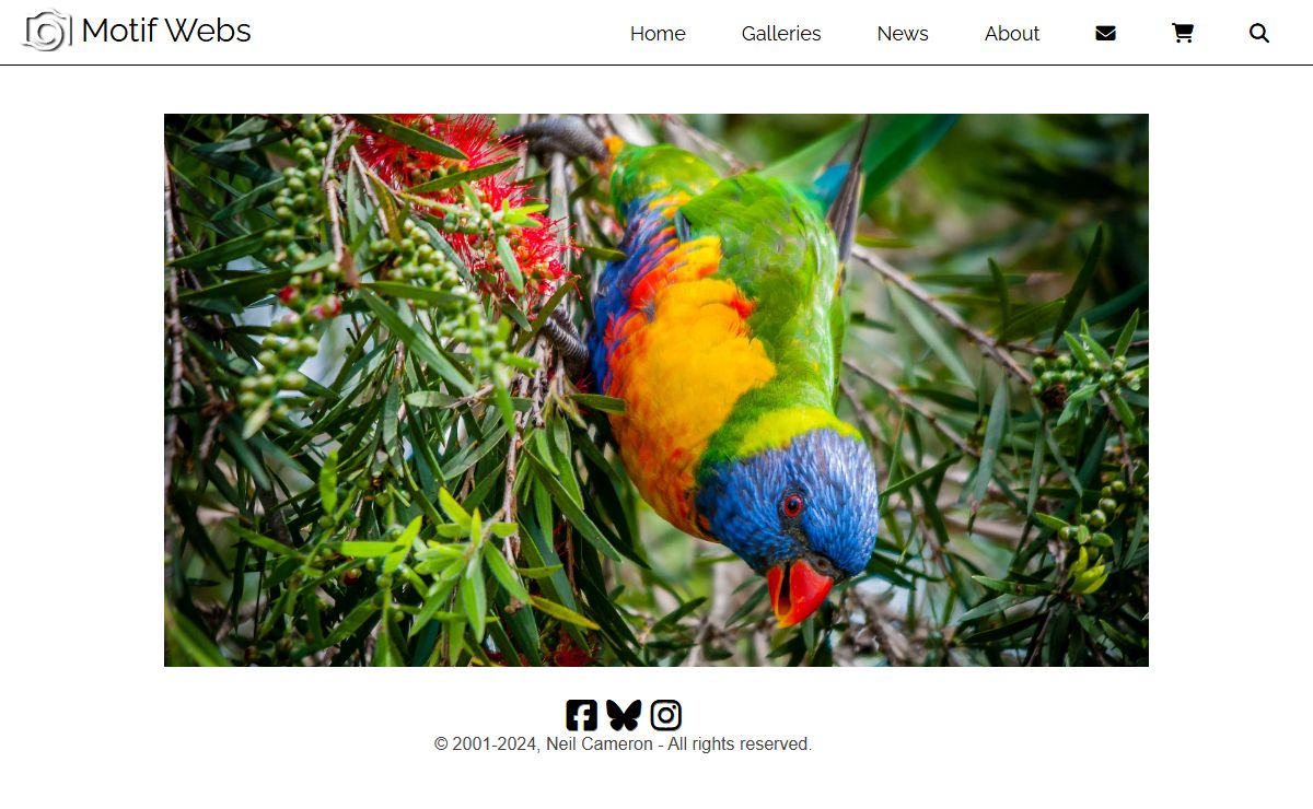 Motif Webs - Photography by Neil Cameron