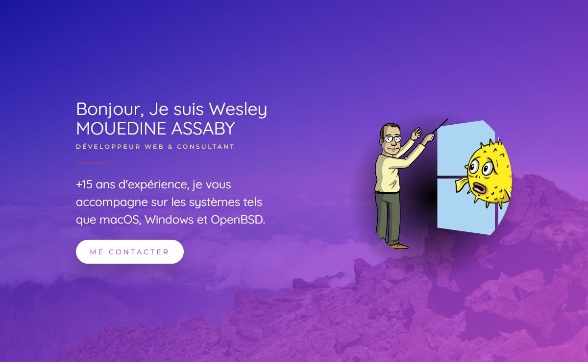 Wesley MOUEDINE ASSABY – Consultant