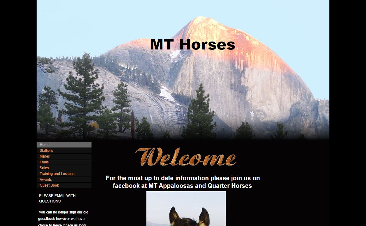 MT Horses your Appaloosa and Quarter Horse Source in oregon