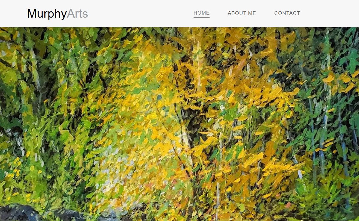 Murphy Arts – Musician | Painter | Photographer