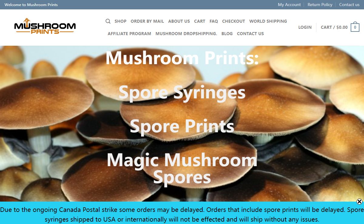 Mushroom Prints: Spore Syringes, and Mushroom Spore Prints.