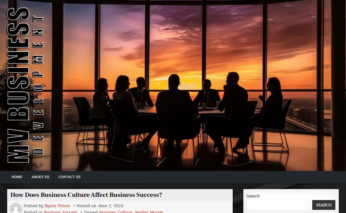 MV Business Development | An Instinct For Growth