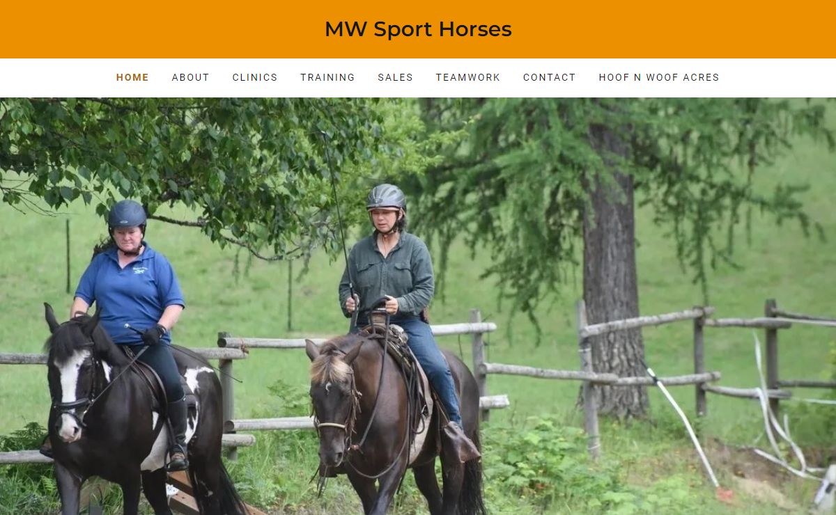 MW Sport Horses - Marion Weisskopff Sport Horses, Horse Training