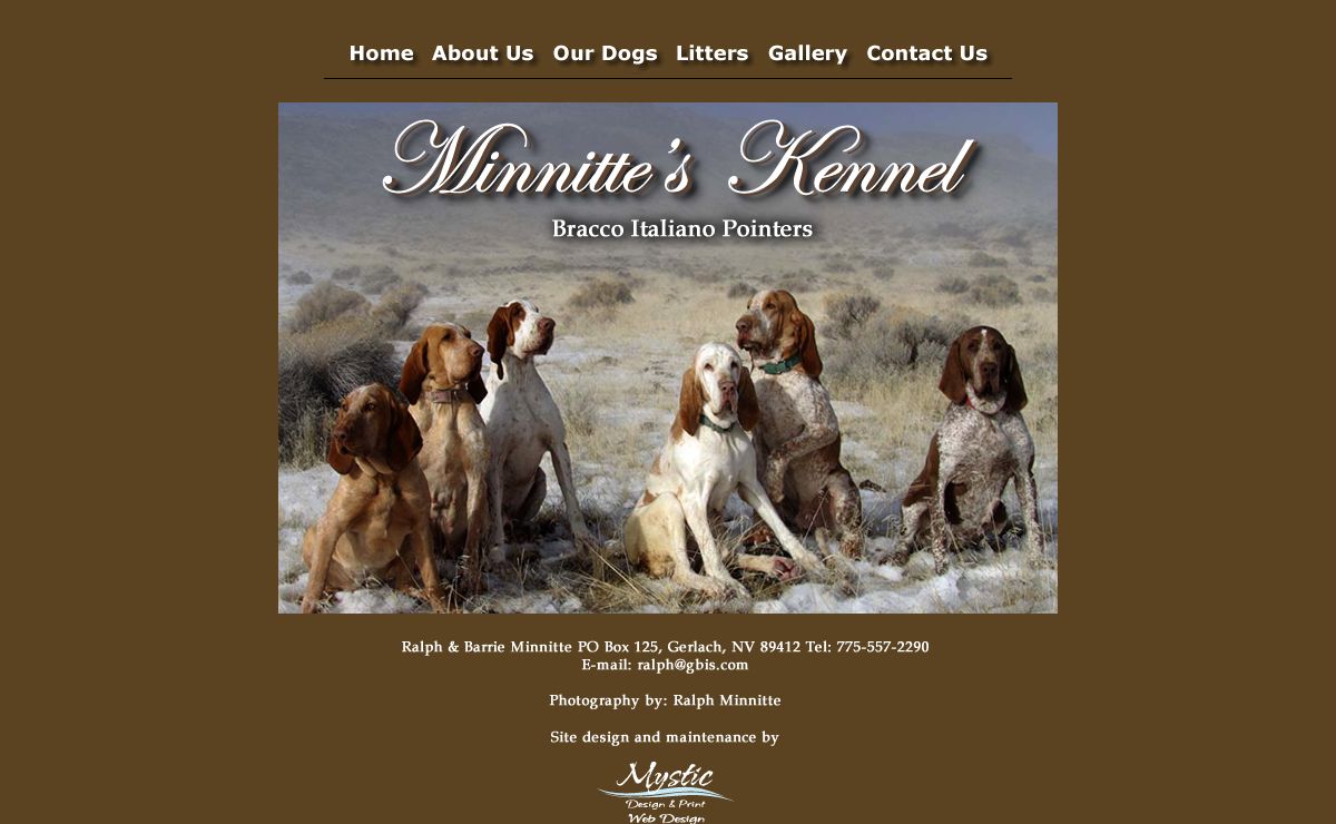 Bracco Italiano Pointer Hunting Dogs for sale