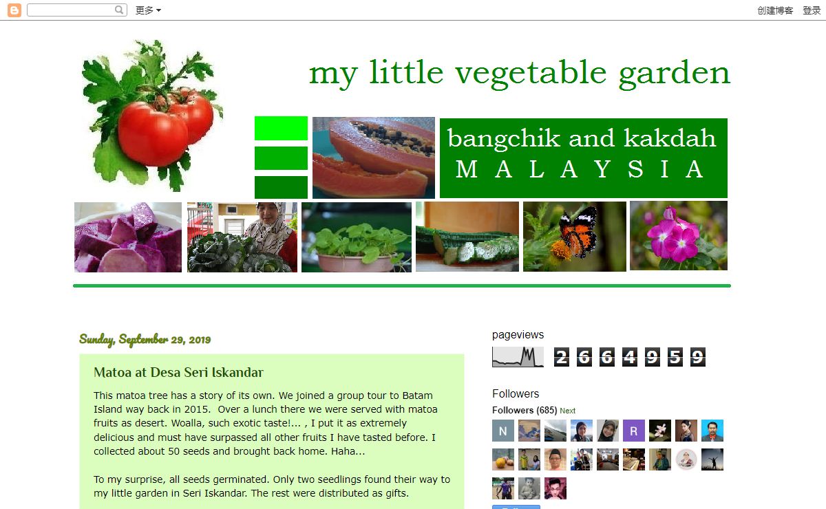 My little vegetable garden