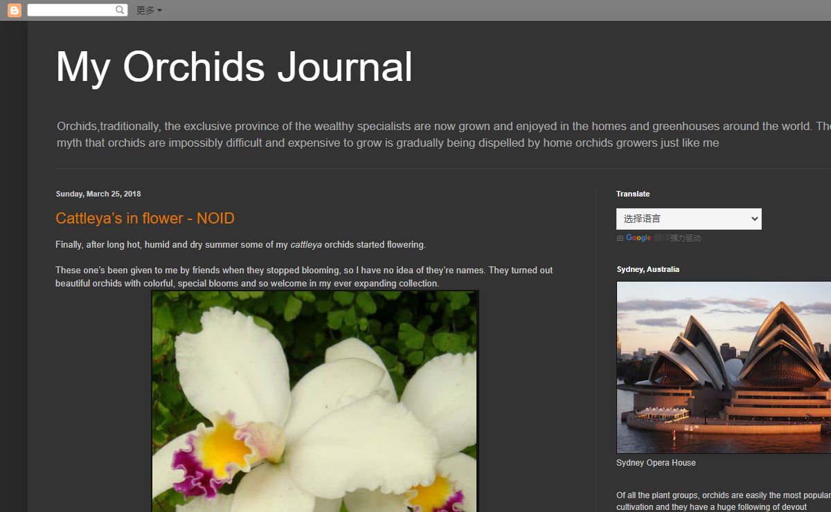 My Orchids Journal