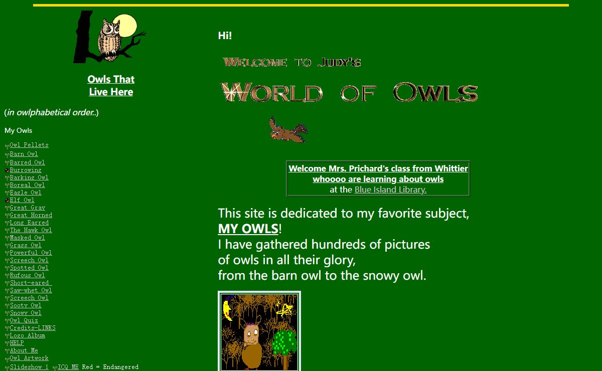 My Owls of the World