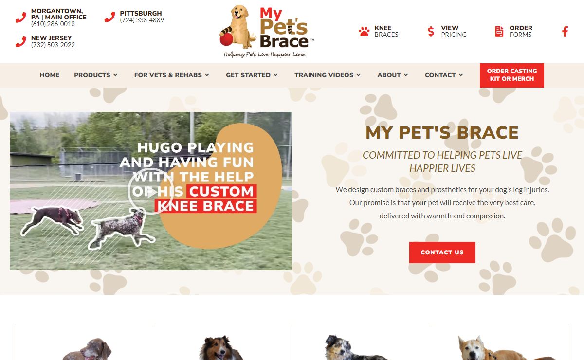 Custom Orthopedic Leg Braces For Dogs | My Pet’s Brace