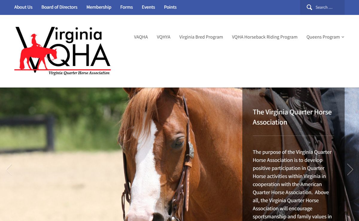 Virginia Quarter Horse Association – Virginia Quarter Horse Association