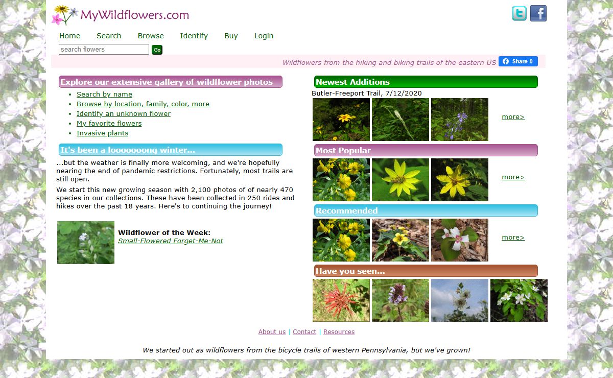 MyWildflowers.com - Search, Browse, Identify
