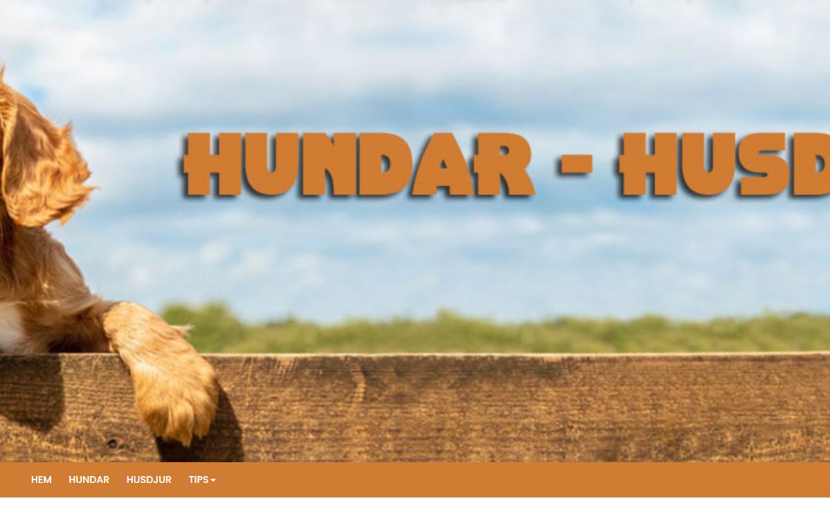 Hundar – Husdjur – Cavalier King Charles Spaniel, Nations Lowchen och andra hundar
