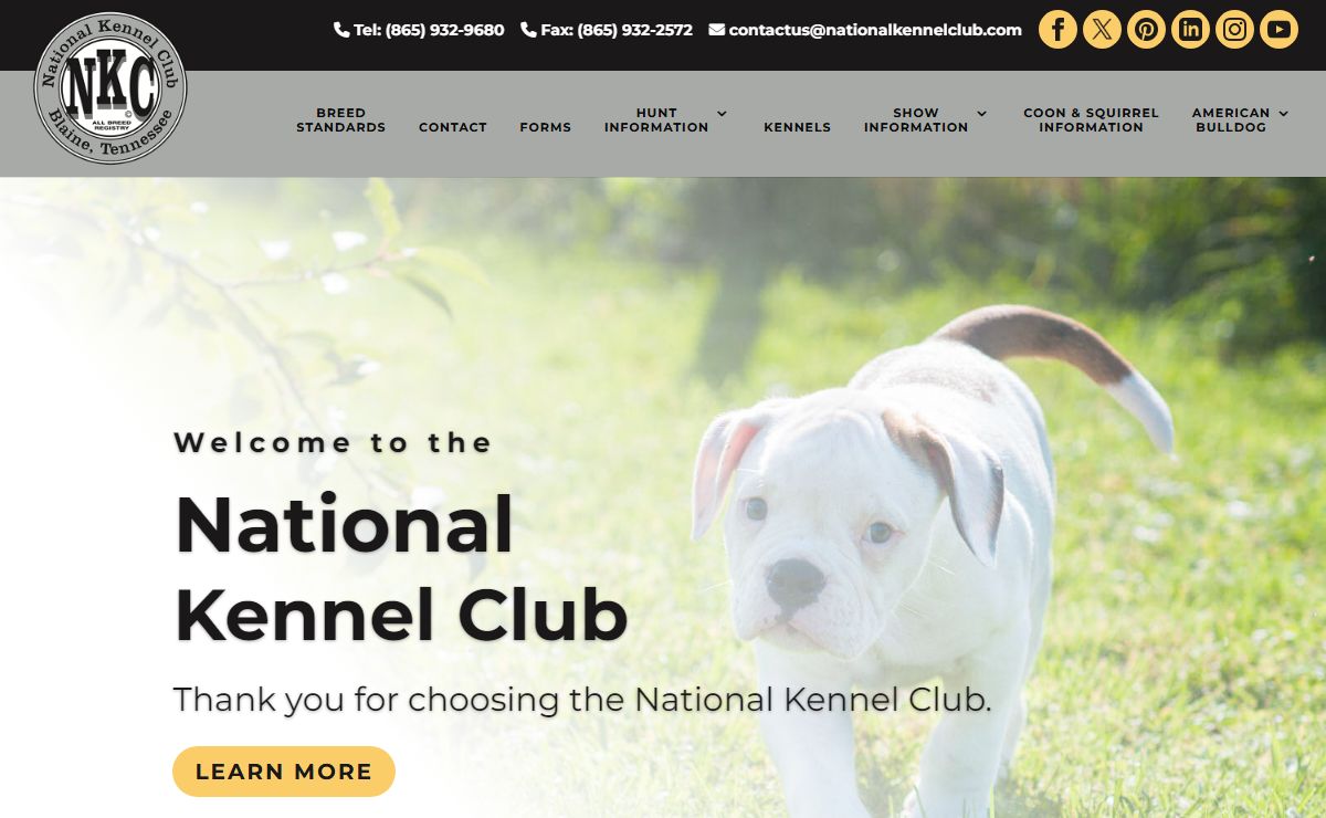 Champion Dogs Champion Owners Champion Service | National Kennel Club