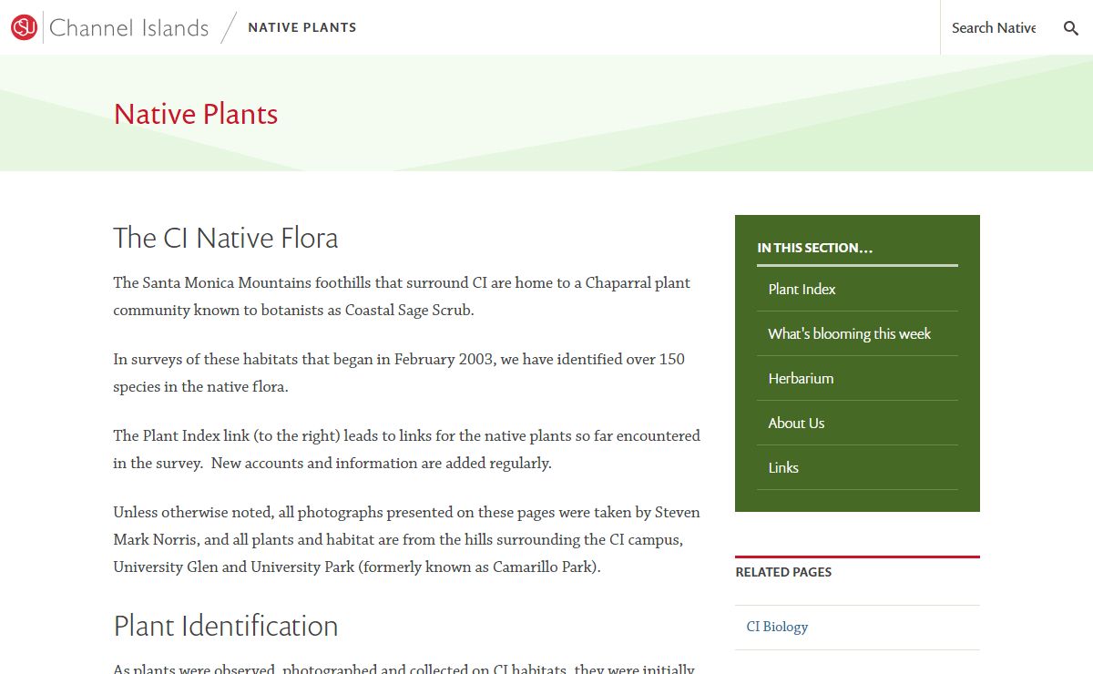 Native Plants - CSU Channel Islands