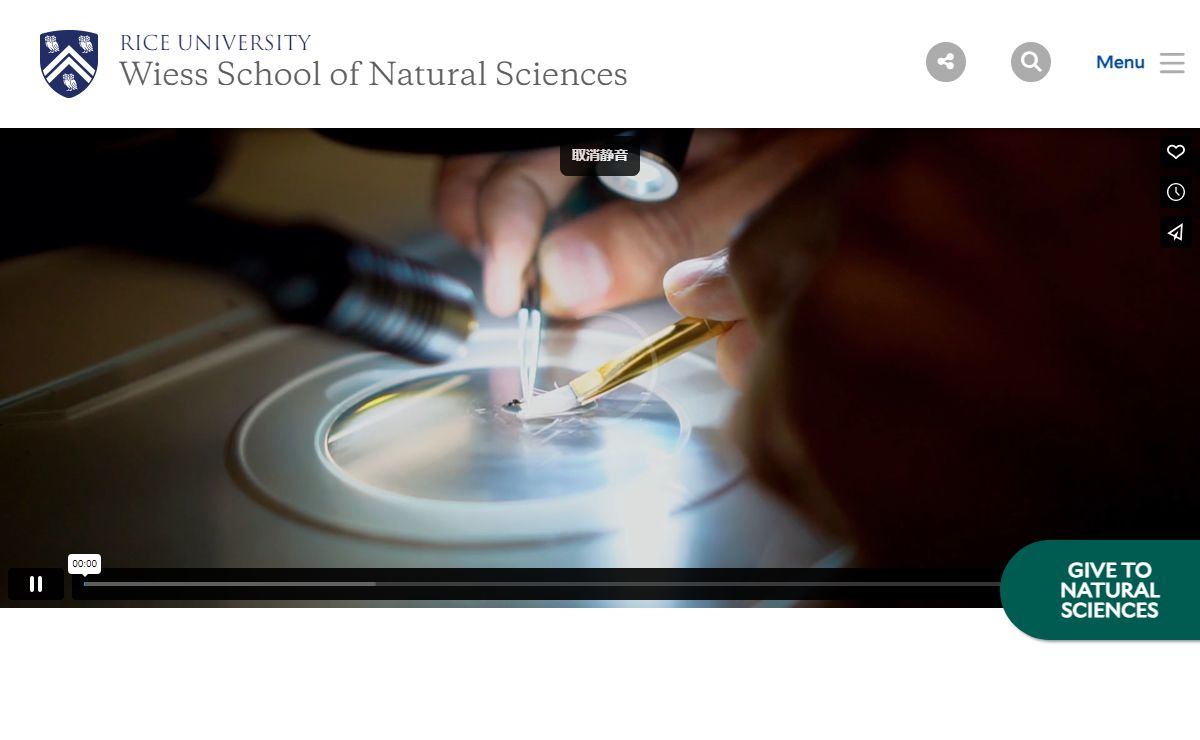 Wiess School of Natural Sciences | Rice University