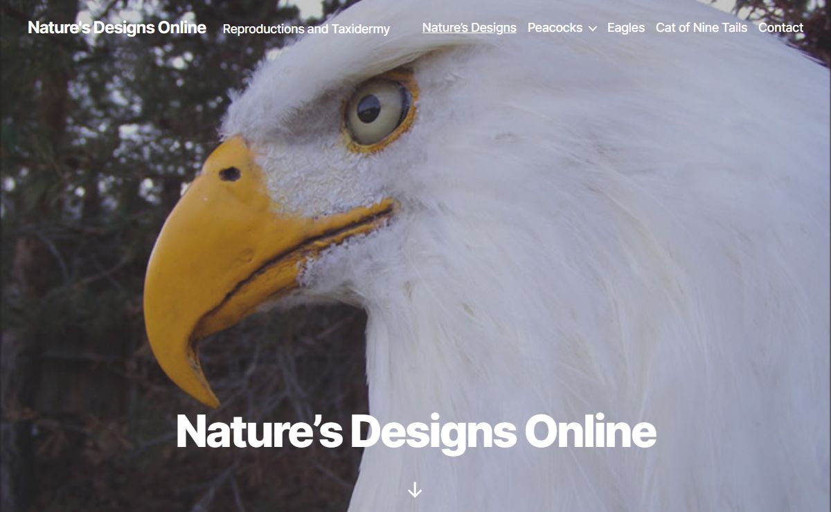 Nature's Designs Online - Nature's Designs Online