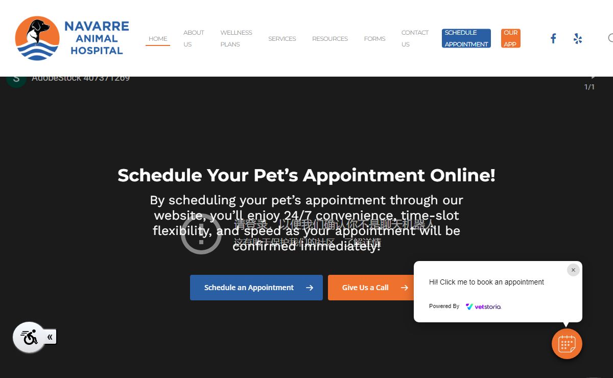 Veterinarians | Navarre Animal Hospital | Navarre, FL | Vet Care