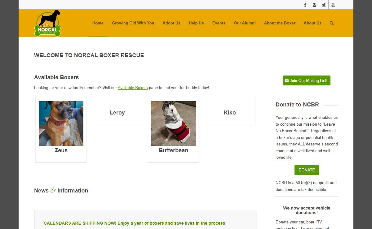 Home | NorCal Boxer Rescue
