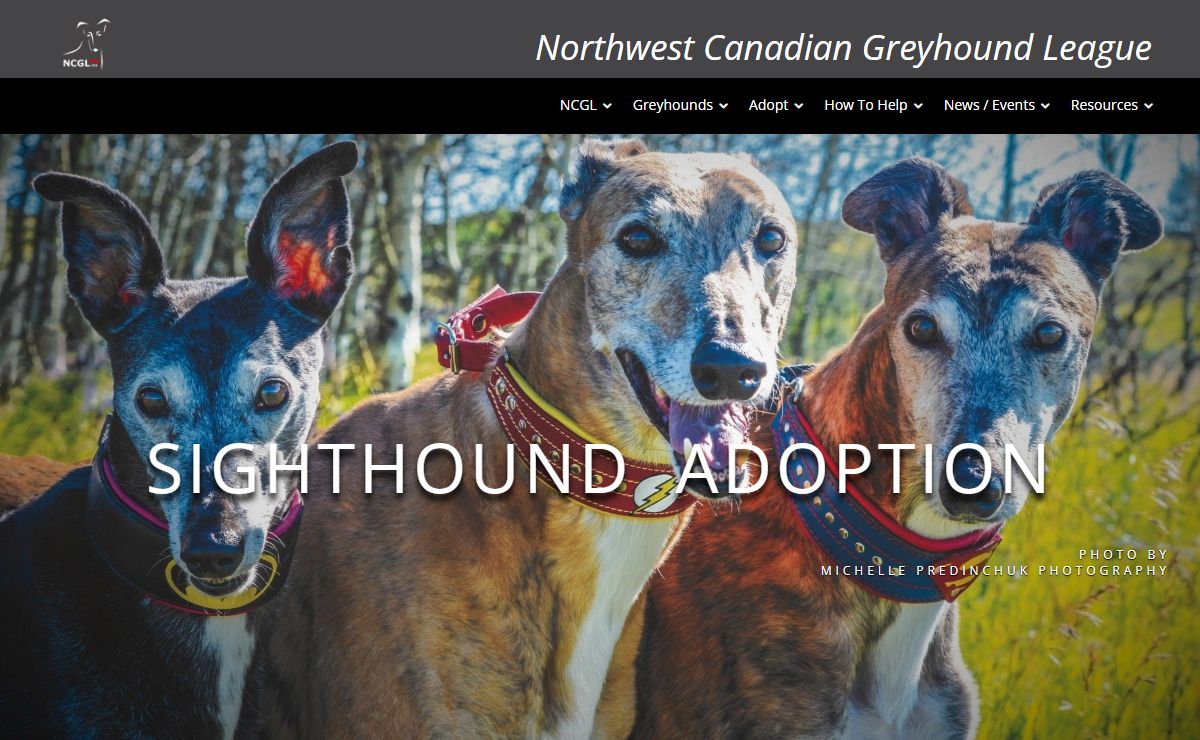Northwest Canadian Greyhound League – Providing Greyhound Rescue and Adoption Services to Northwest Canada