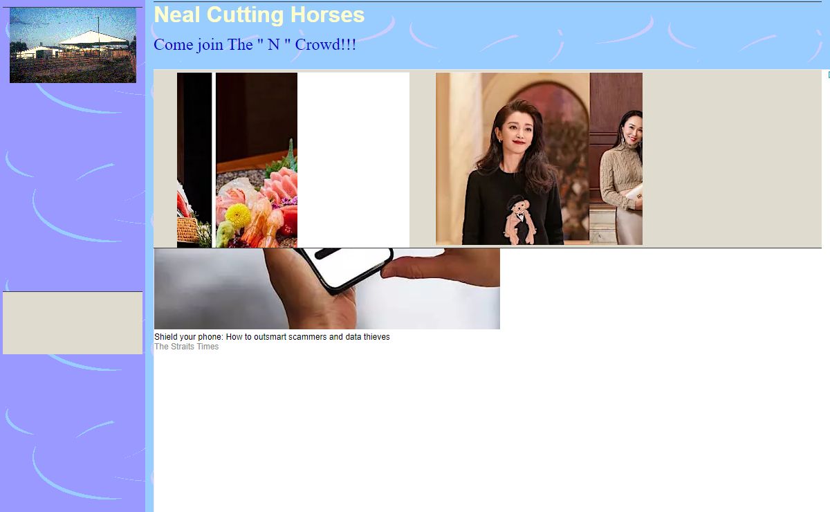 Neal Cutting Horses