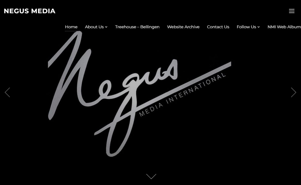 Negus Media | Issues. Ideas. Explanations.
