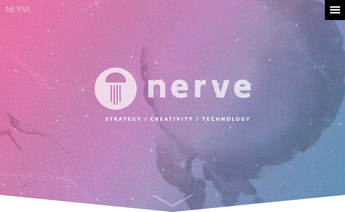 NERVE