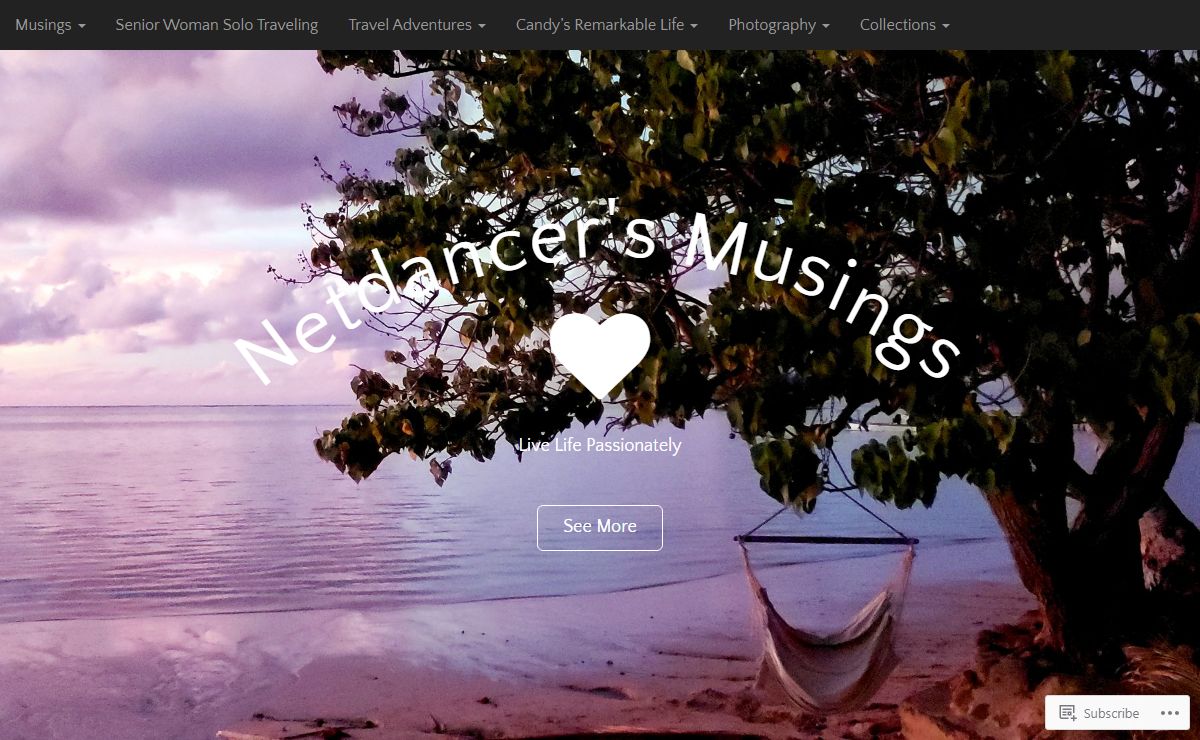 Netdancer's Musings – Live Life Passionately