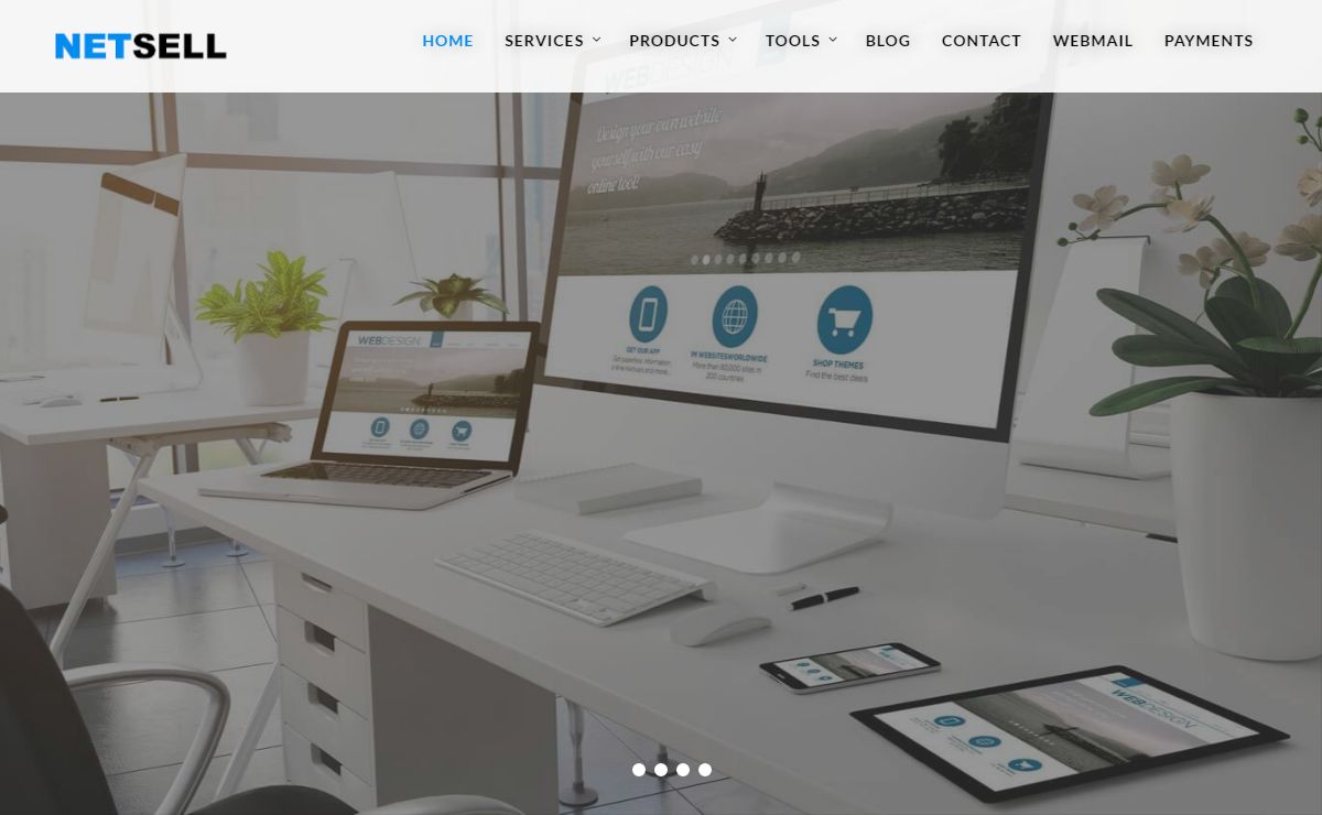 HOME - Netsell Website Designs Solutions