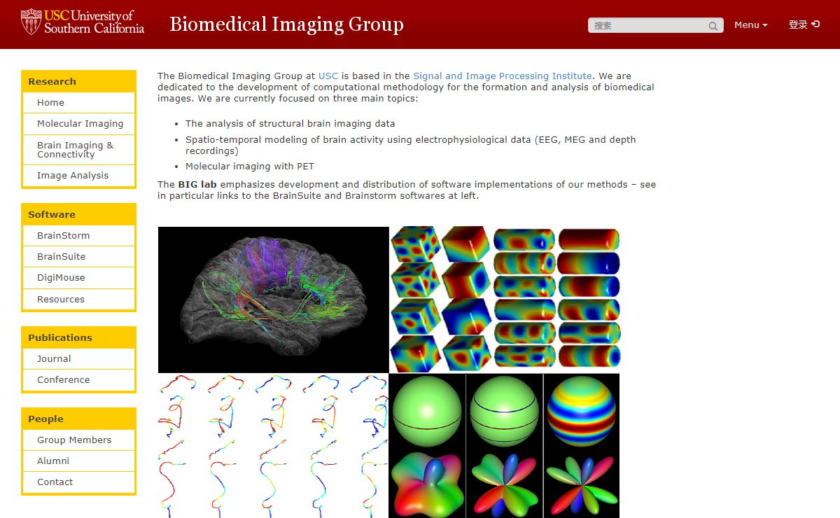 home - Biomedical Imaging Group"
