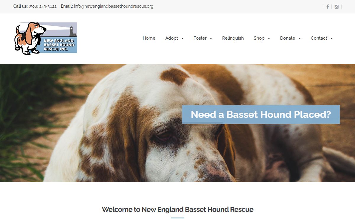 New England Basset Hound Rescue
