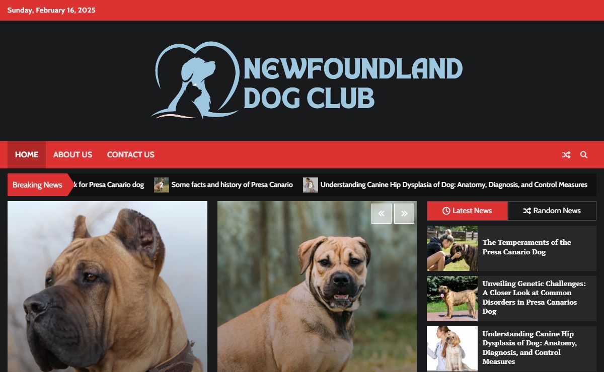 Newfoundland Dog Club - network of caring people