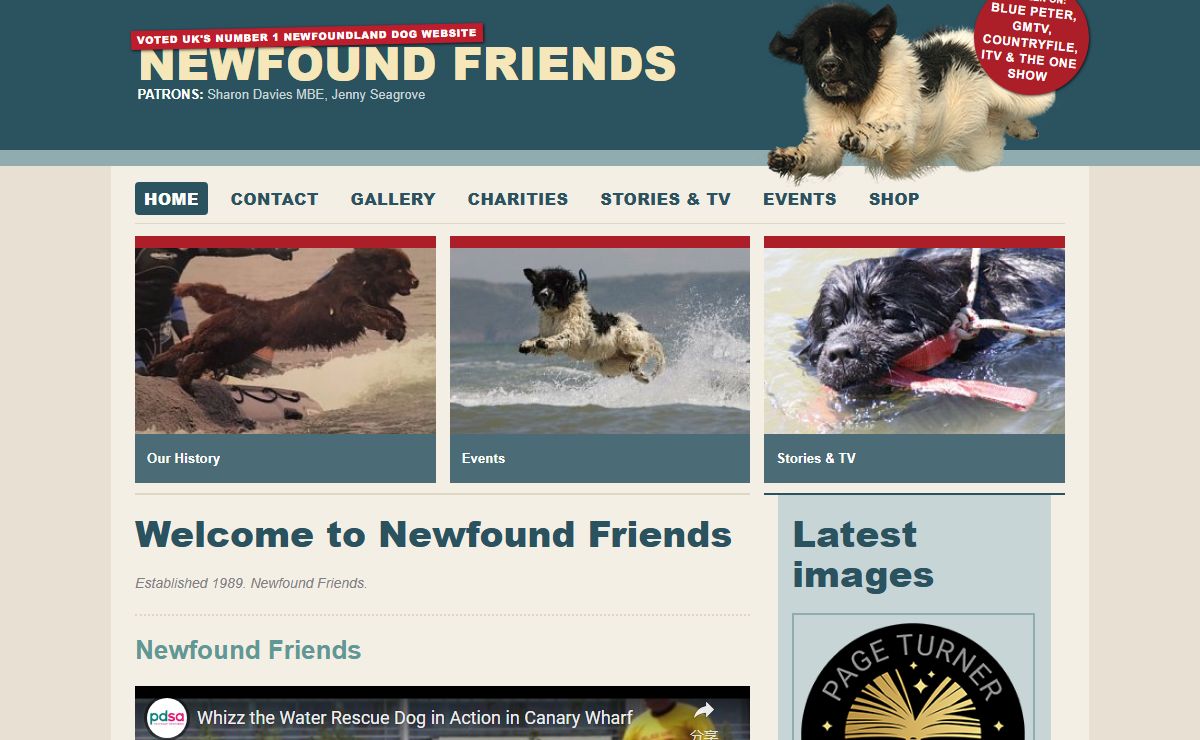 Welcome to Newfound Friends | Newfound Friends