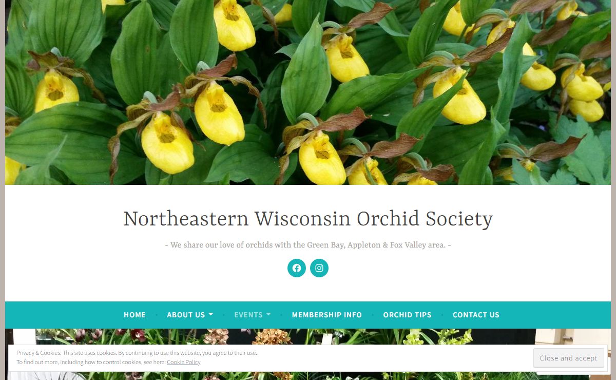 Northeastern Wisconsin Orchid Society – We share our love of orchids with the Green Bay, Appleton & Fox Valley area.