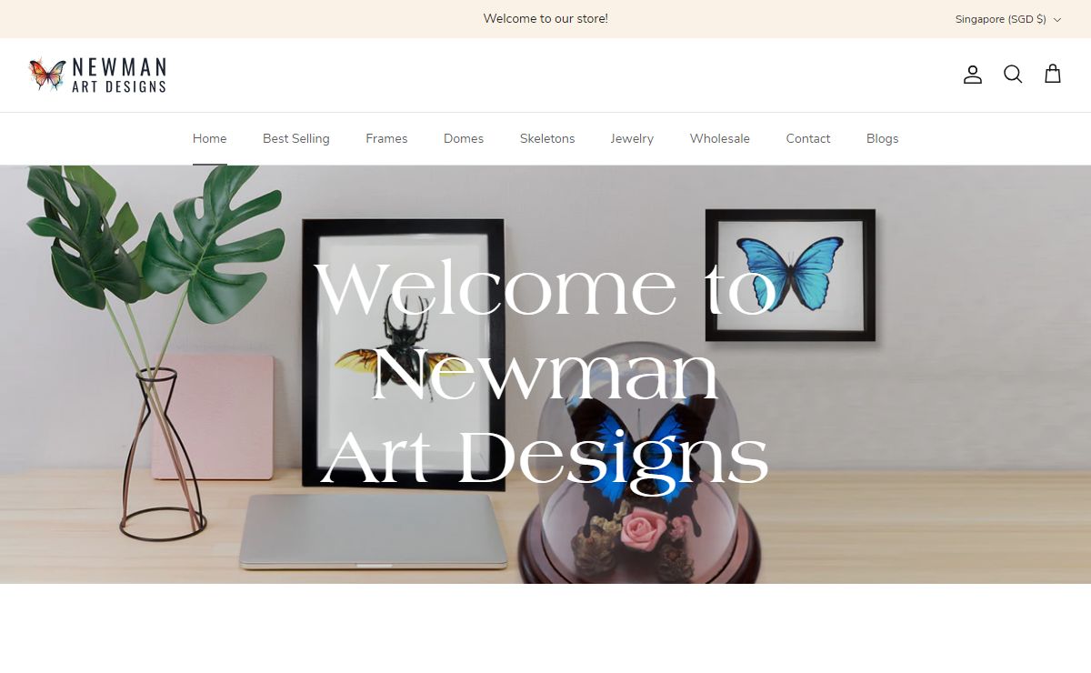 Butterfly Art Designs - Framed Butterflies, Domes and Taxidermy – Newman Art Designs
