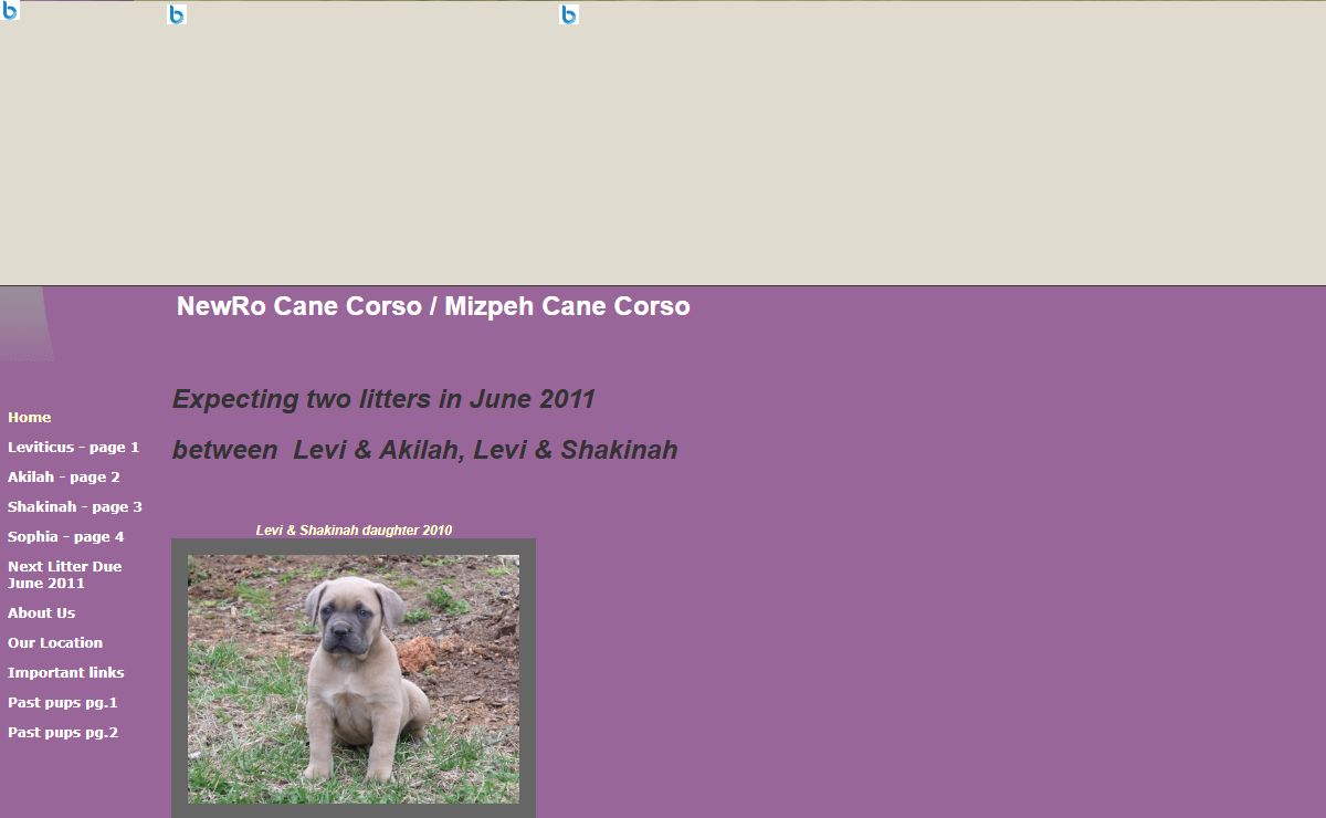 NewRo Cane Corso / Mizpeh Cane Corso
