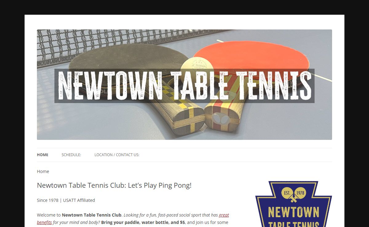 Newtown Table Tennis Club: Let's Play Ping Pong!