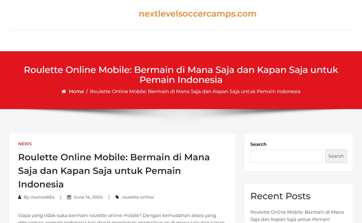 nextlevelsoccercamps.com -