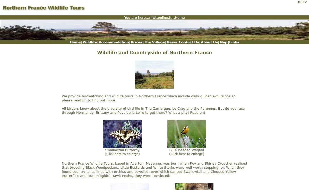 Northern France Wildlife Tours: Birdwatching and wildlife tours