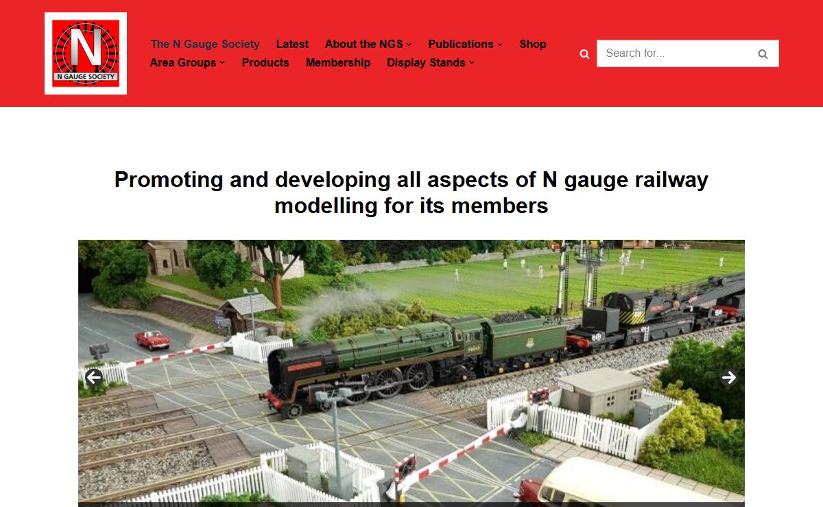 The N Gauge Society - N Gauge Society