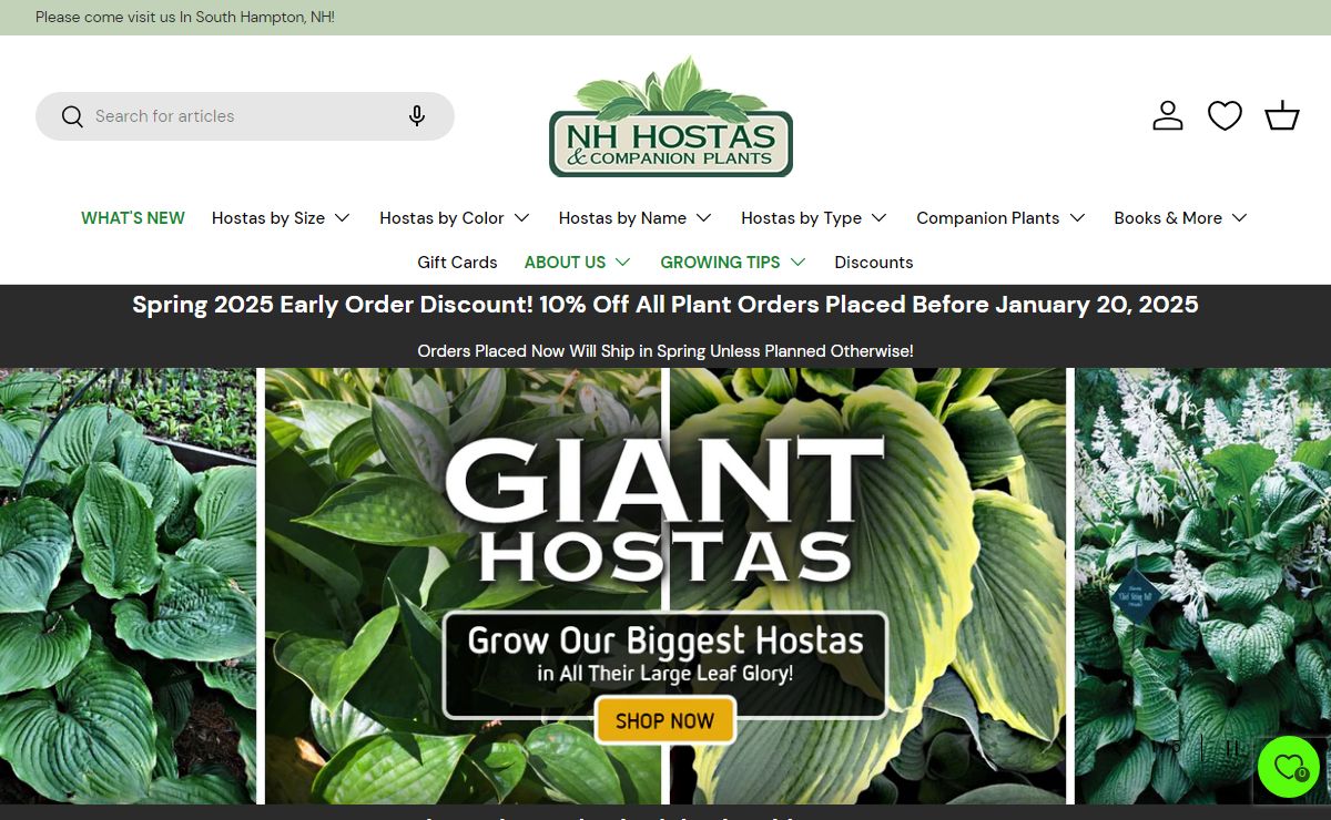 Introducing Our 2025 Hosta Catalog - 10% Early Order Discount! – NH Hostas