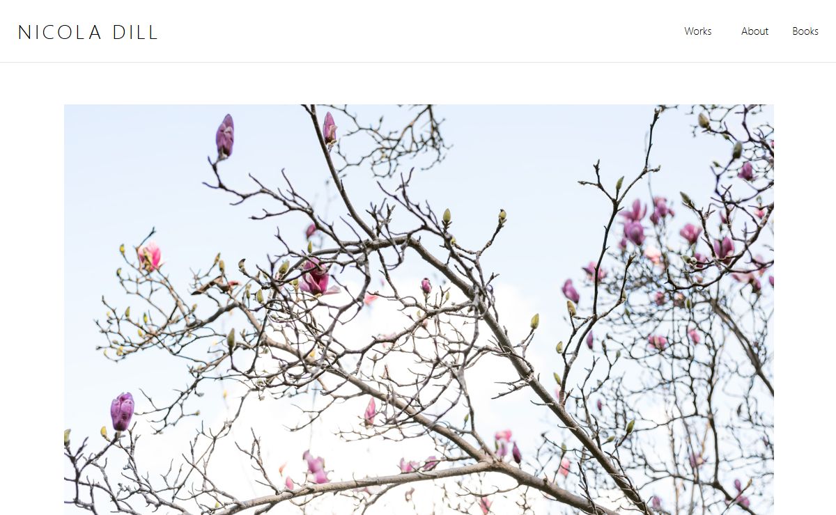 Home Page - NICOLA DILL