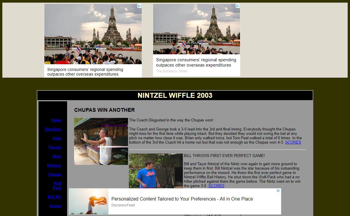 NINTZEL WIFFLE 2003